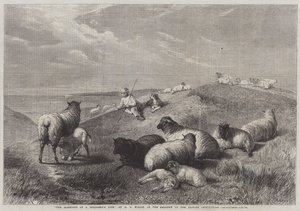 The Blessings of a Shepherd